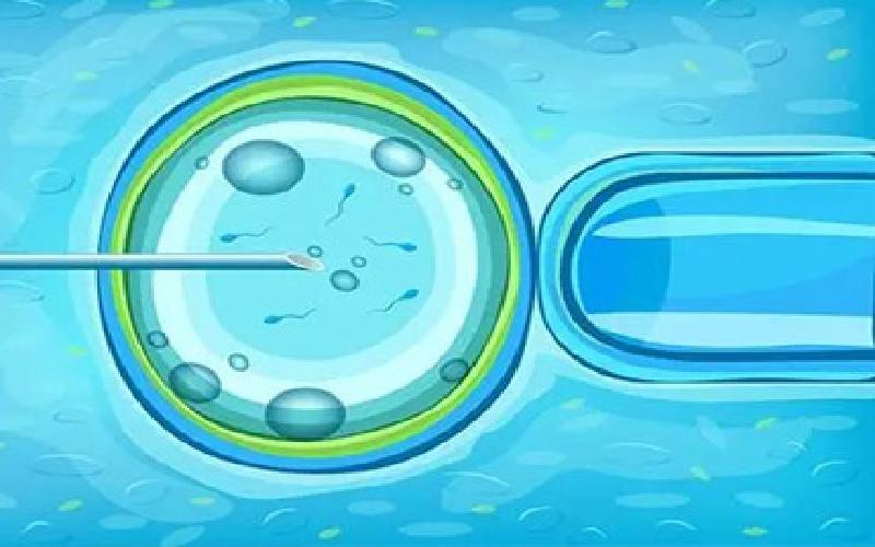 生殖中心未婚试管代生